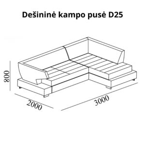 Čikago D25